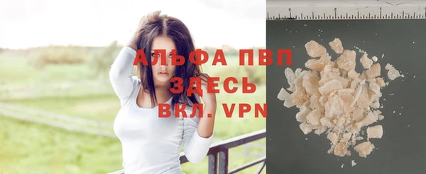 твердый Ростов