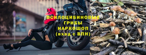 твердый Ростов
