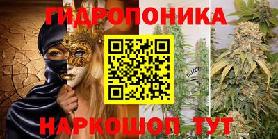 гашик Бугуруслан