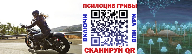 Галлюциногенные грибы мухоморы купить наркотики цена Вязьма