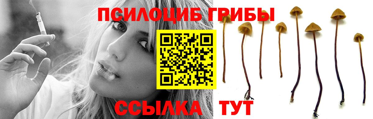 Галлюциногенные грибы Magic Shrooms  где купить наркоту  Вязьма 